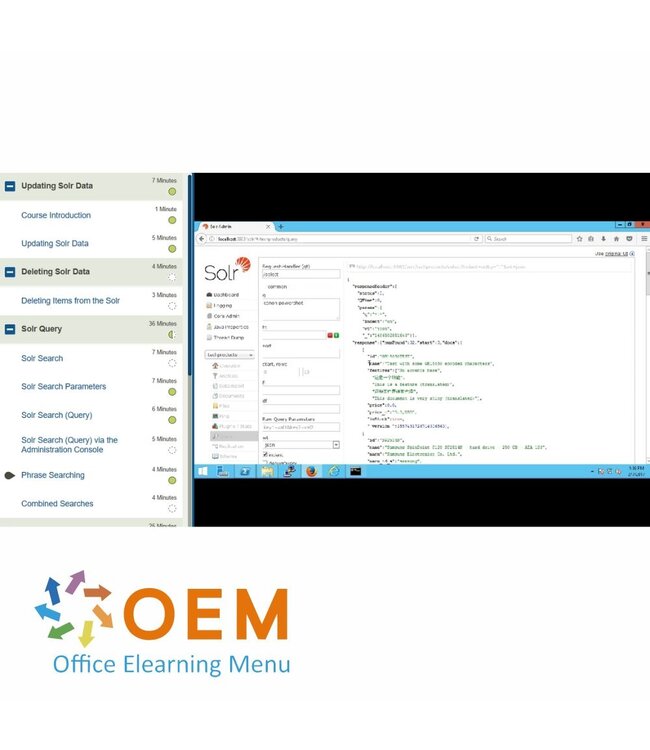 OEM Apache Solr Essentials Training