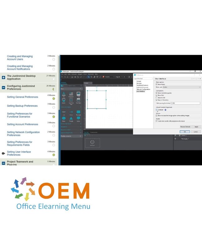 OEM Using Justinmind Training