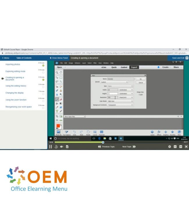 Adobe Adobe Photoshop Elements 13 Course E-Learning
