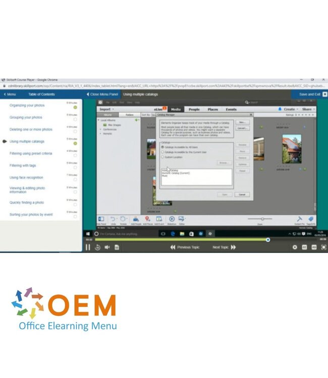 Adobe Adobe Photoshop Elements 13 Course E-Learning
