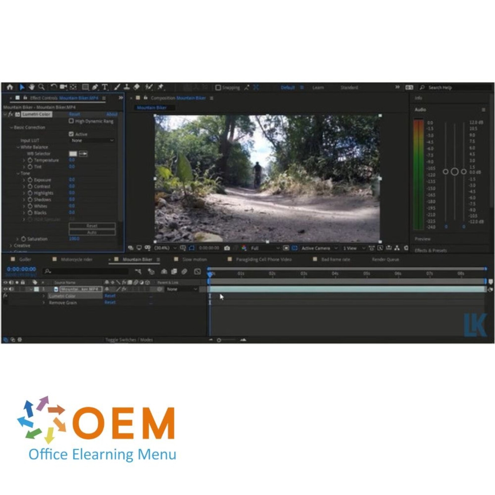 Adobe Adobe After Effects CC 2021 Course E-Learning