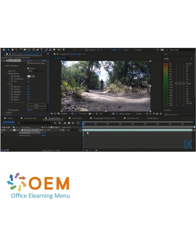 Adobe Adobe After Effects CC 2021 Course E-Learning