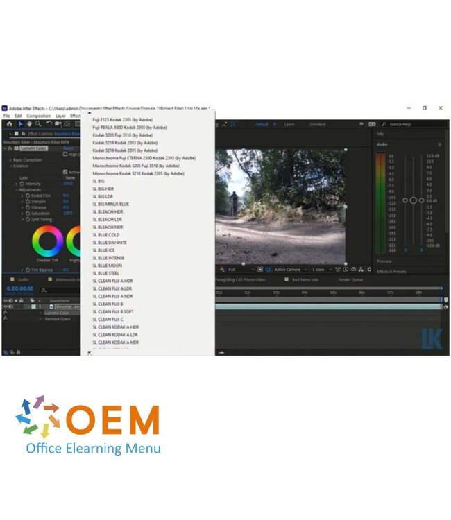 Adobe Adobe After Effects CC 2021 Cursus E-Learning