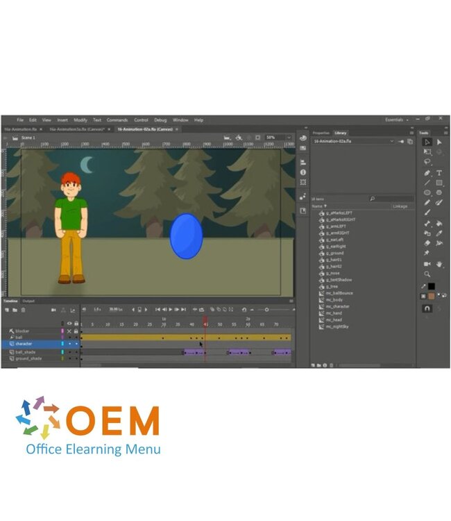 Adobe Adobe Animate CC 2021 Course E-Learning