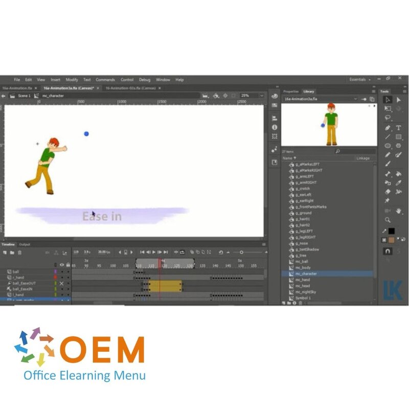 Adobe Animate CC 2021 Course E-Learning