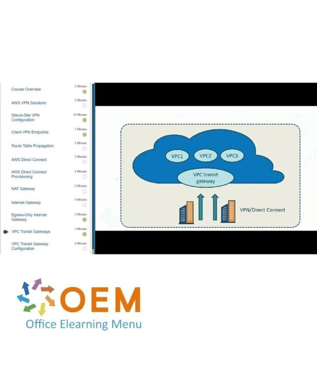 Amazon Web Services (AWS) AWS Certified Solutions Architect – Professional SAP-C02 Training