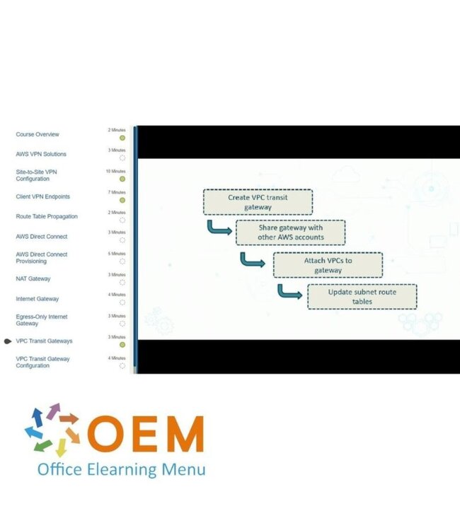 Amazon Web Services (AWS) AWS Certified Solutions Architect – Professional SAP-C02 Training
