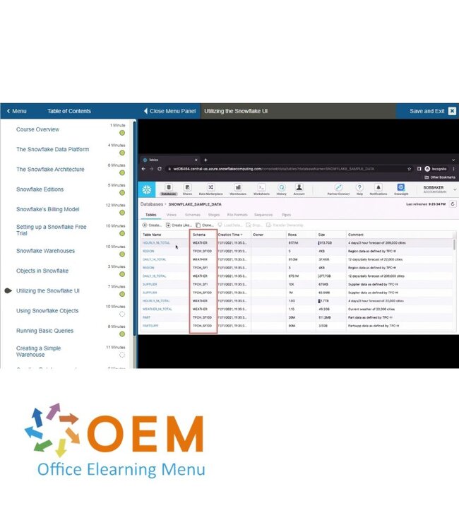 Snowflake Snowflake Training