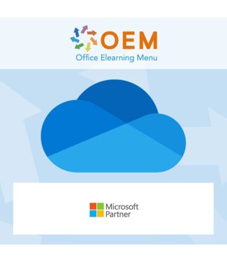 Microsoft OneDrive 365 Incompany Training