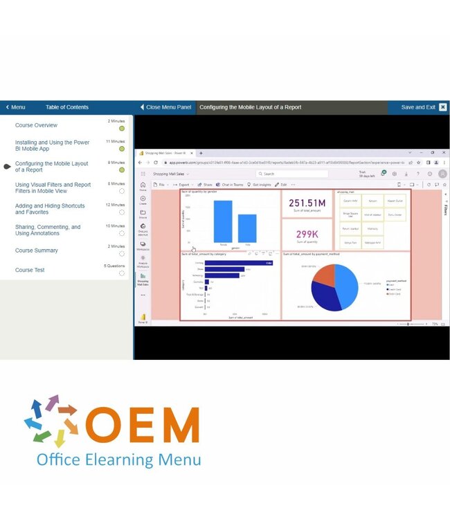 Microsoft Mastering Power BI Training