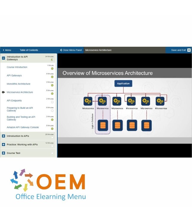 OEM Building API Gateways Training