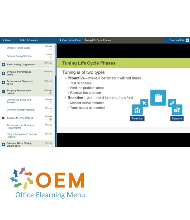 Oracle Oracle Database 11g SQL Tuning Training