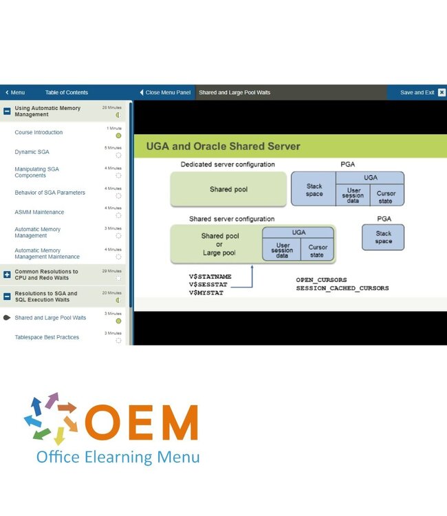 Oracle Oracle Database 11g SQL Tuning Training
