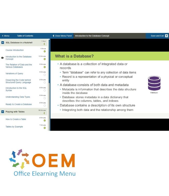 OEM Introduction to SQL Training