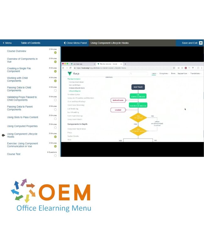 OEM Vue.js Training