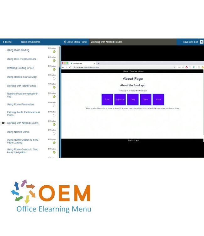 OEM Vue.js Training