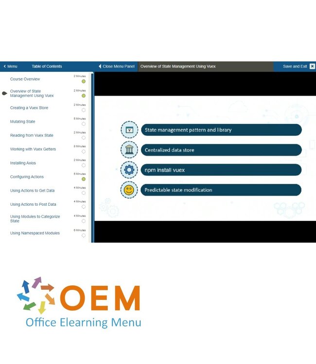 OEM Vue.js Training