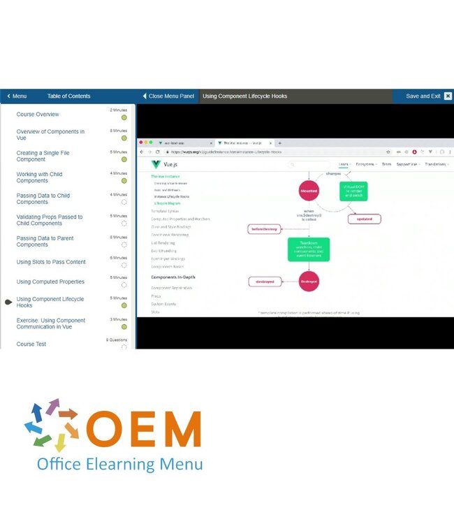 OEM Vue.js Training