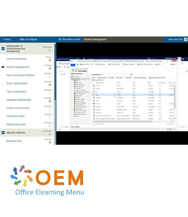 Microsoft Microsoft Dynamics CRM Customization & Configuration Training