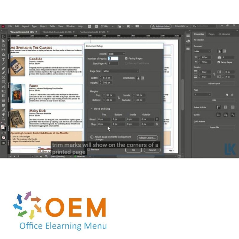 Adobe InDesign  CC 2021  Course E-Learning