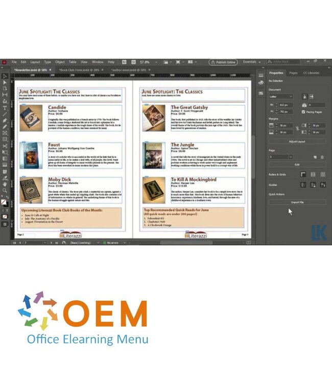 Adobe Adobe InDesign CC 2021 Cursus E-Learning