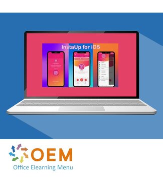 OEM Instagram Training
