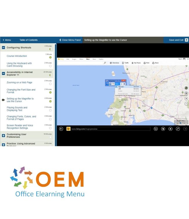 OEM Using Internet Explorer 11 Training