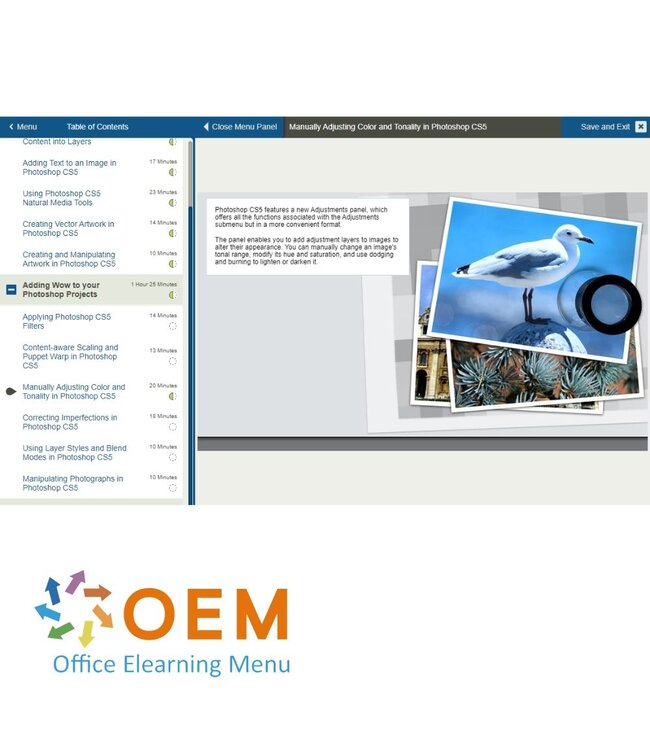 Adobe Adobe Photoshop Advanced Cursus CS5 E-Learning