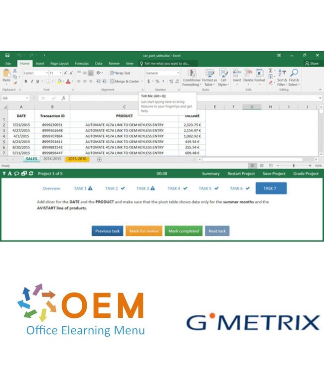 Microsoft MO-201 Excel Expert 2019 GMetrix Practice Exam