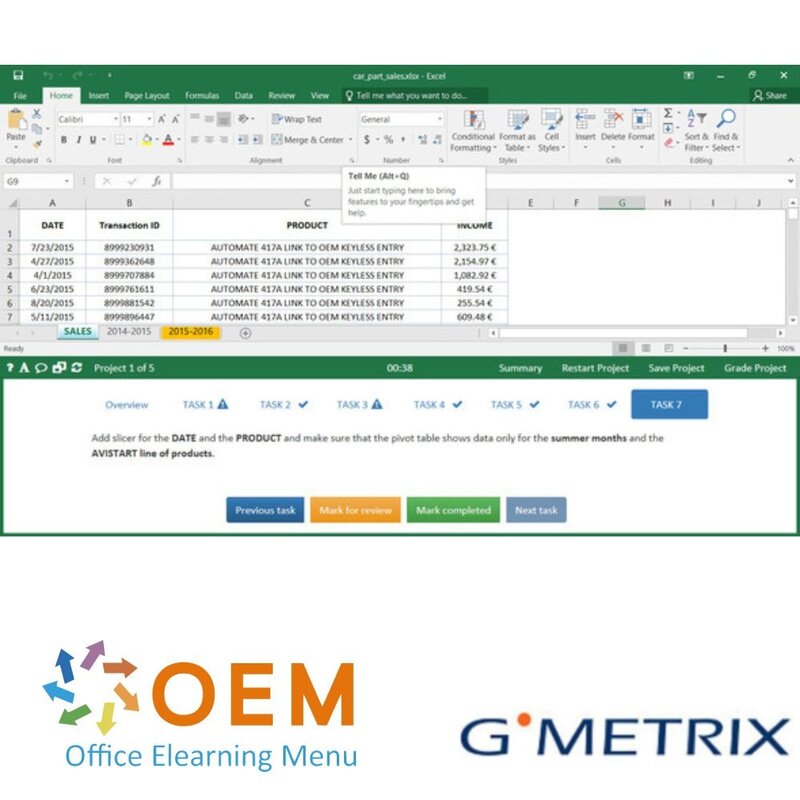 MO201 Excel Expert 2019 GMetrix Practice Exam OEM