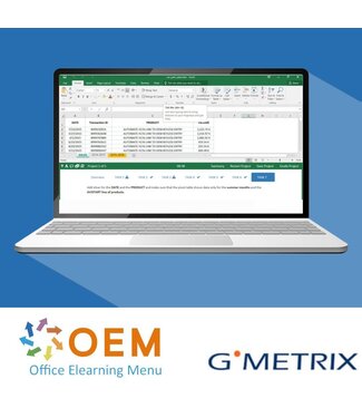 Microsoft MO-201 Excel Expert 2019 GMetrix Practice Exam