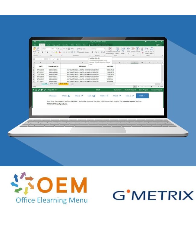 Microsoft MO-201 Excel Expert 2019 GMetrix Practice Exam
