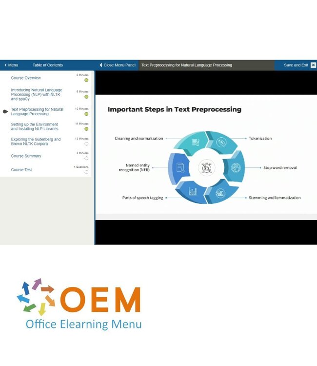 Python Natural Language Processing and LLMs Training