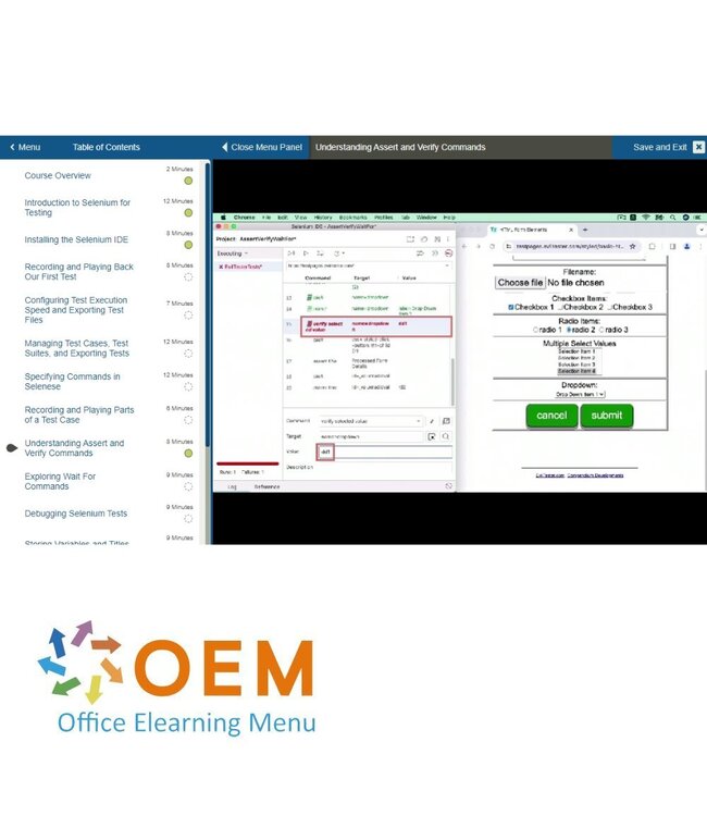 Oracle Automated Software Testing with Java Selenium Training
