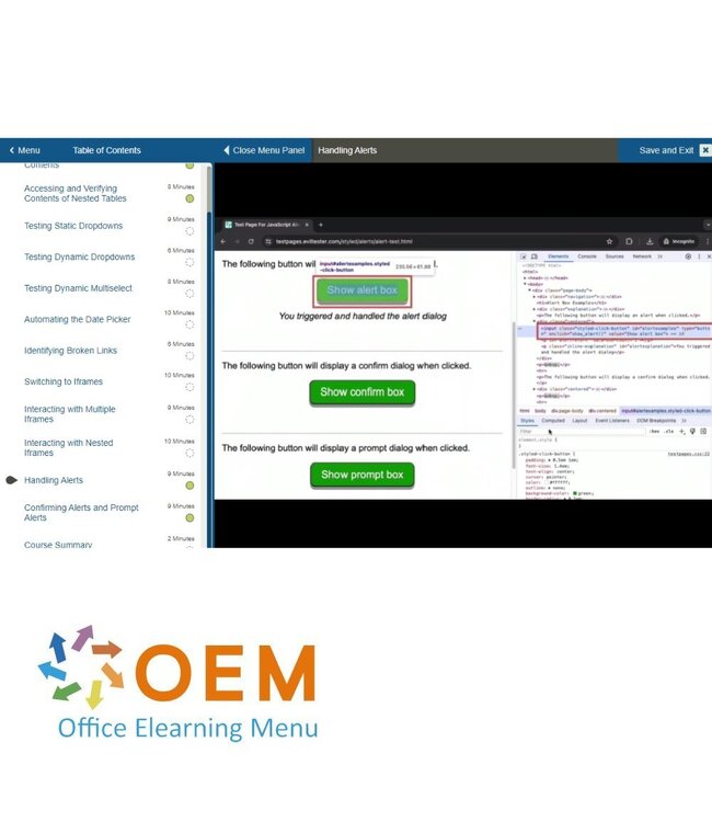 Oracle Automated Software Testing with Java Selenium Training