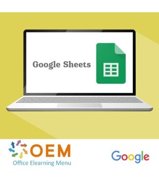 Google Google Sheets Basic Incompany Training