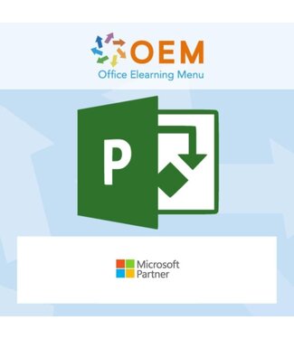 Microsoft Project 2019 Basic Incompany Training