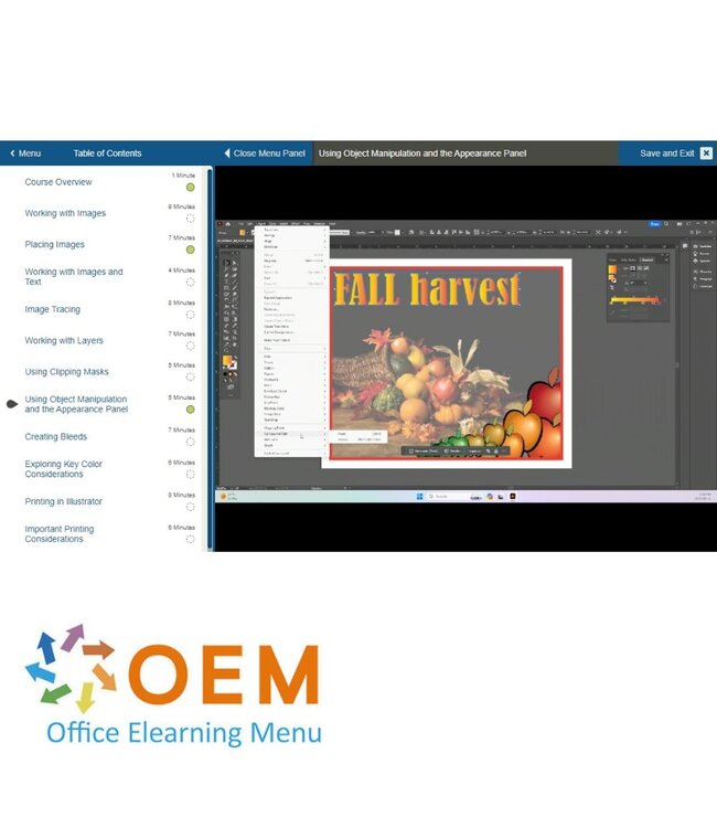 Adobe Adobe Illustrator Course E-Learning