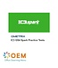 IC3 GS4 Spark practice test