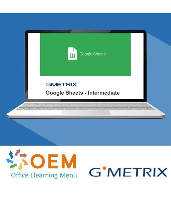 Google Google Sheets Intermediate practice test