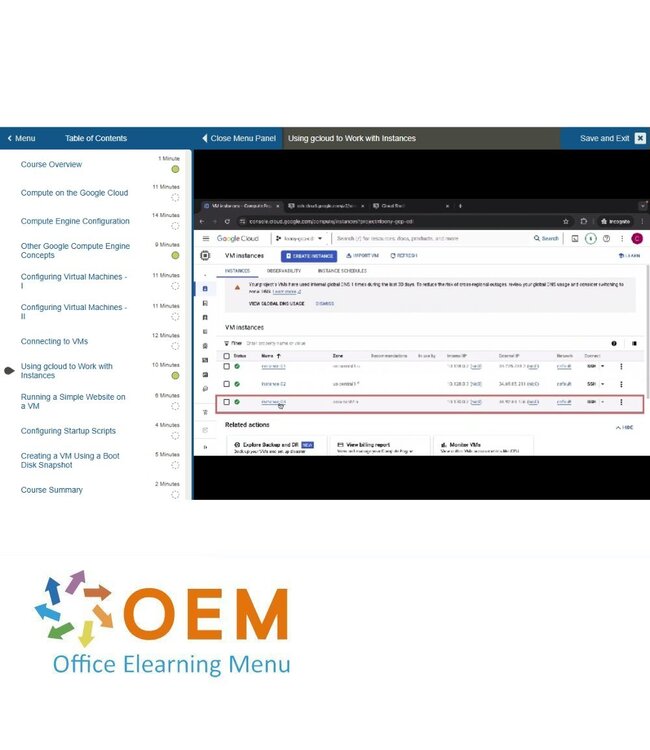 Google Google Cloud Digital Leader Training