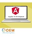 OEM Angular 16 Development Training