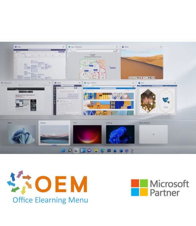 Microsoft Windows 11 Cursus E-Learning