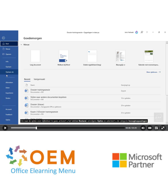 Microsoft Word 2021 Basis E-Learning + Online boek