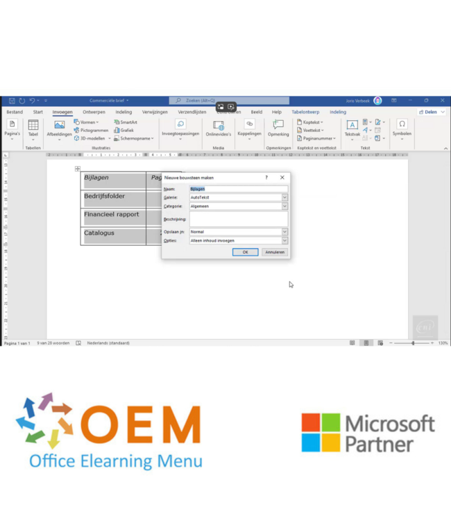 Microsoft Word 2021 Basis E-Learning + Online boek
