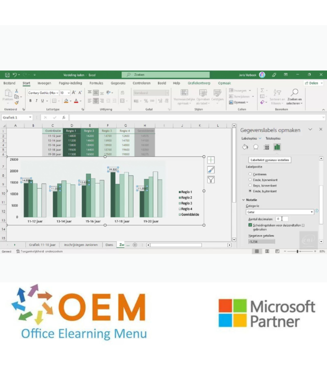 Microsoft Excel 2021 Basis Cursus E-Learning + Online boek