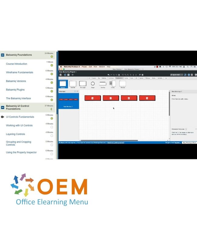 OEM Balsamiq Training