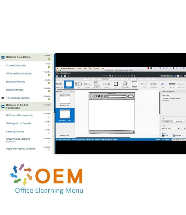 OEM Balsamiq Training