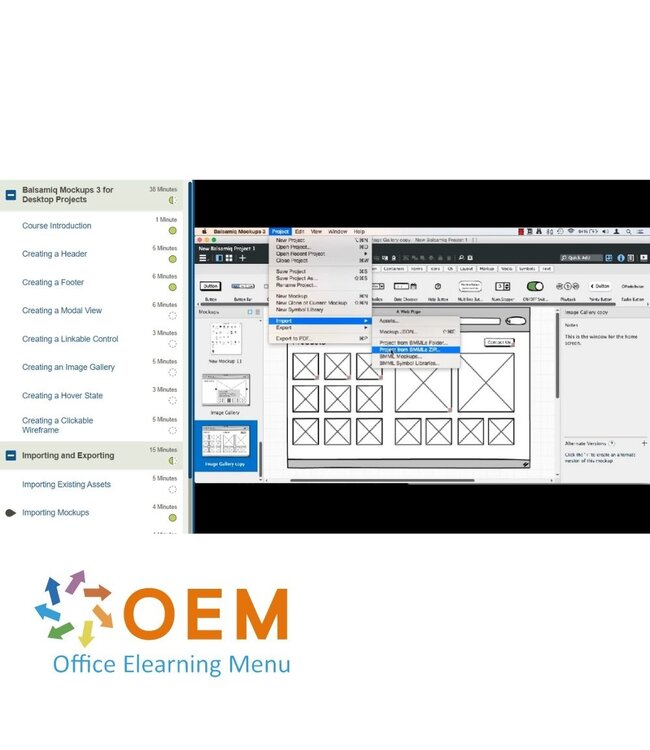 OEM Balsamiq Training