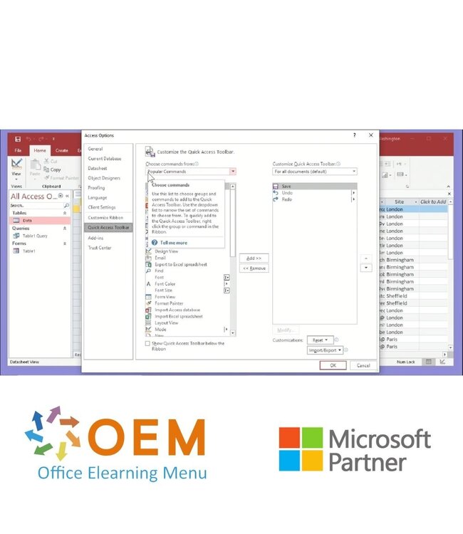 Microsoft Access 2019 Cursus E-Learning